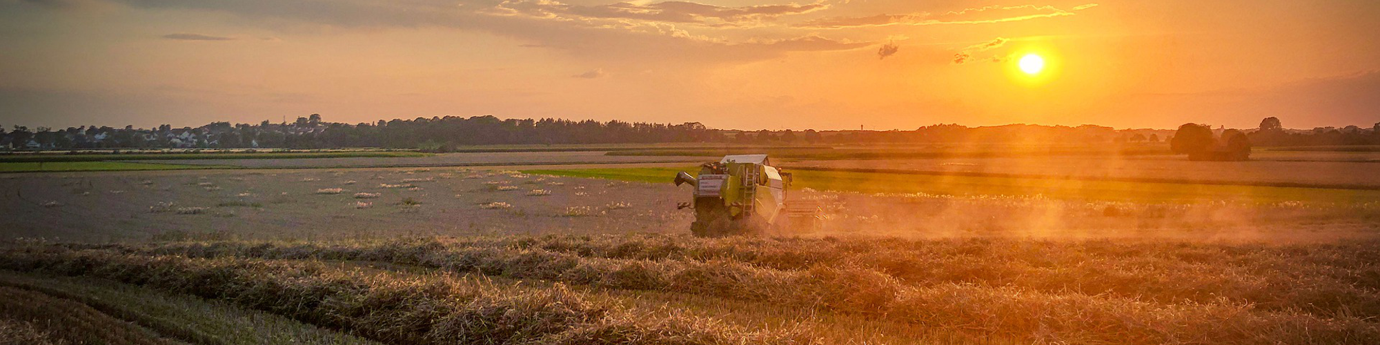 Agrargesellschaft Goldene Ähre mbH