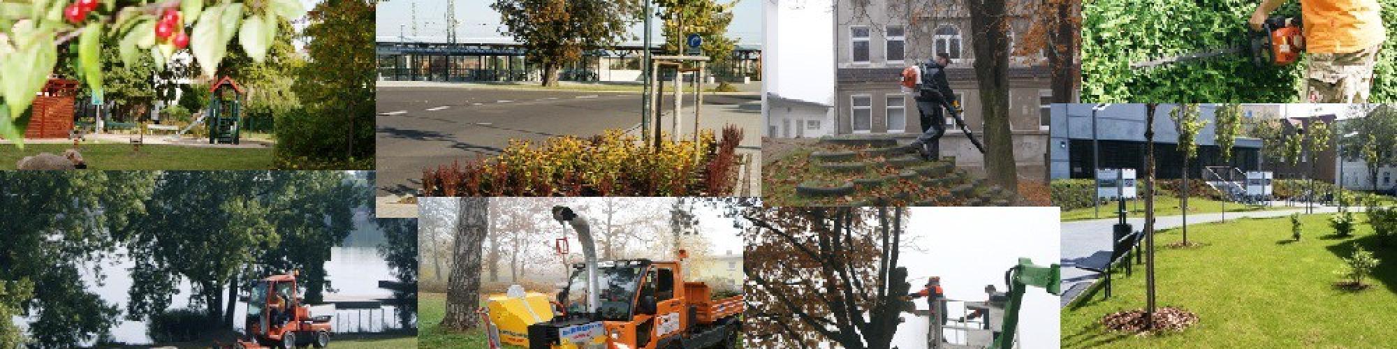 Wohnservice Markranstädt GmbH